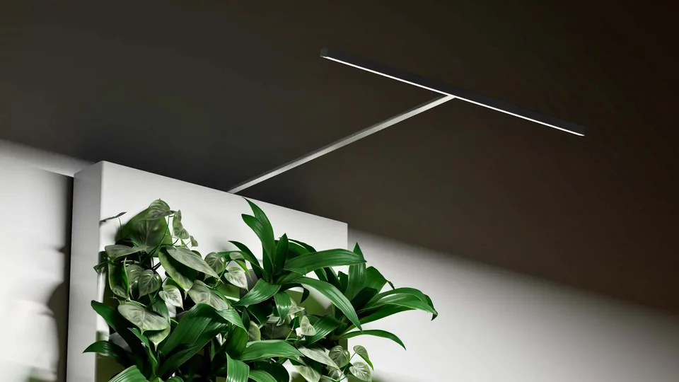 Halo 2.0 lighting positioned above a Biome living wall