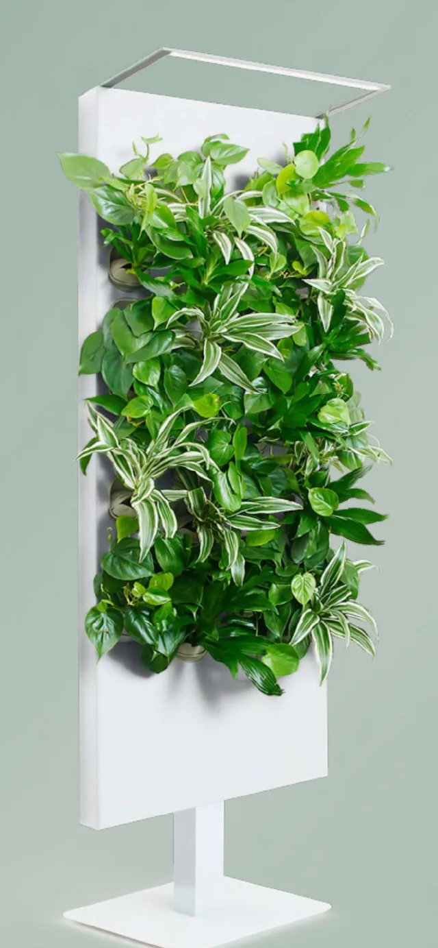 Oasis freestanding smart hydroponic botanical divider